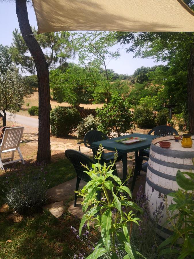 Podere Pini 마글리아노 인 토스카나 외부 사진