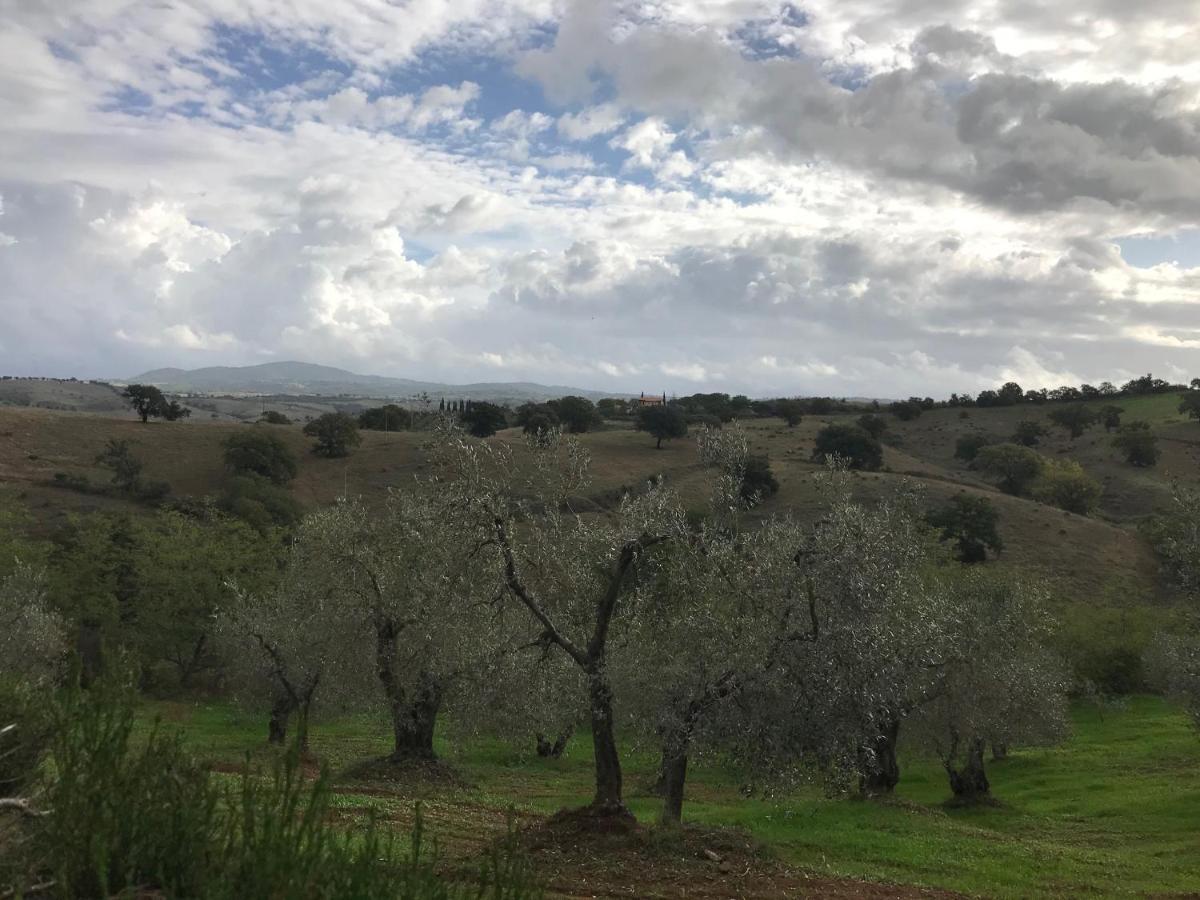 Podere Pini 마글리아노 인 토스카나 외부 사진